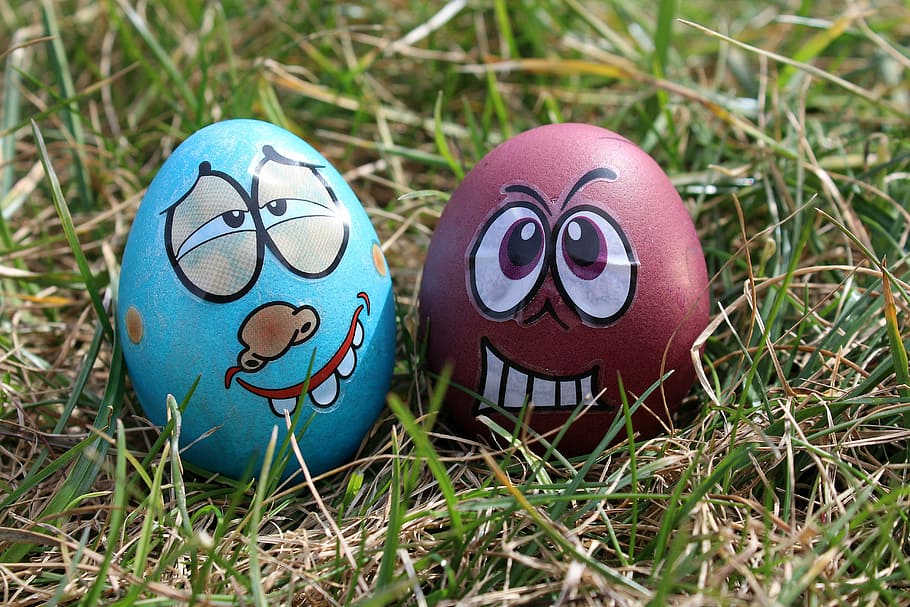easter eggs, para, happy, lawn, season, nature, plant, art and craft HD wallpaper