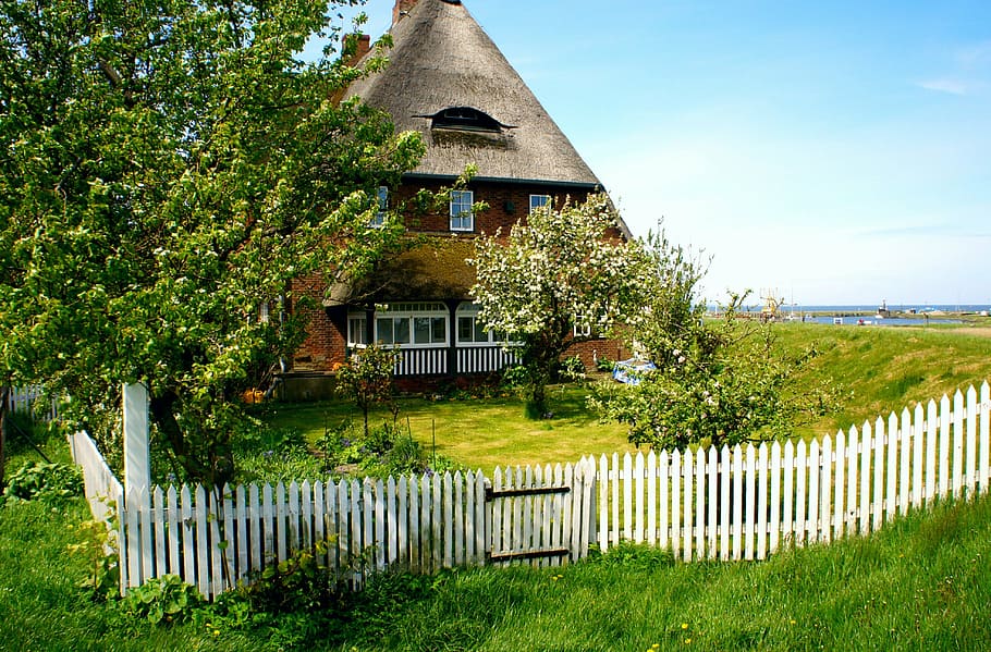 brown house beside green leafed tree, farmhouse, the island of amrum