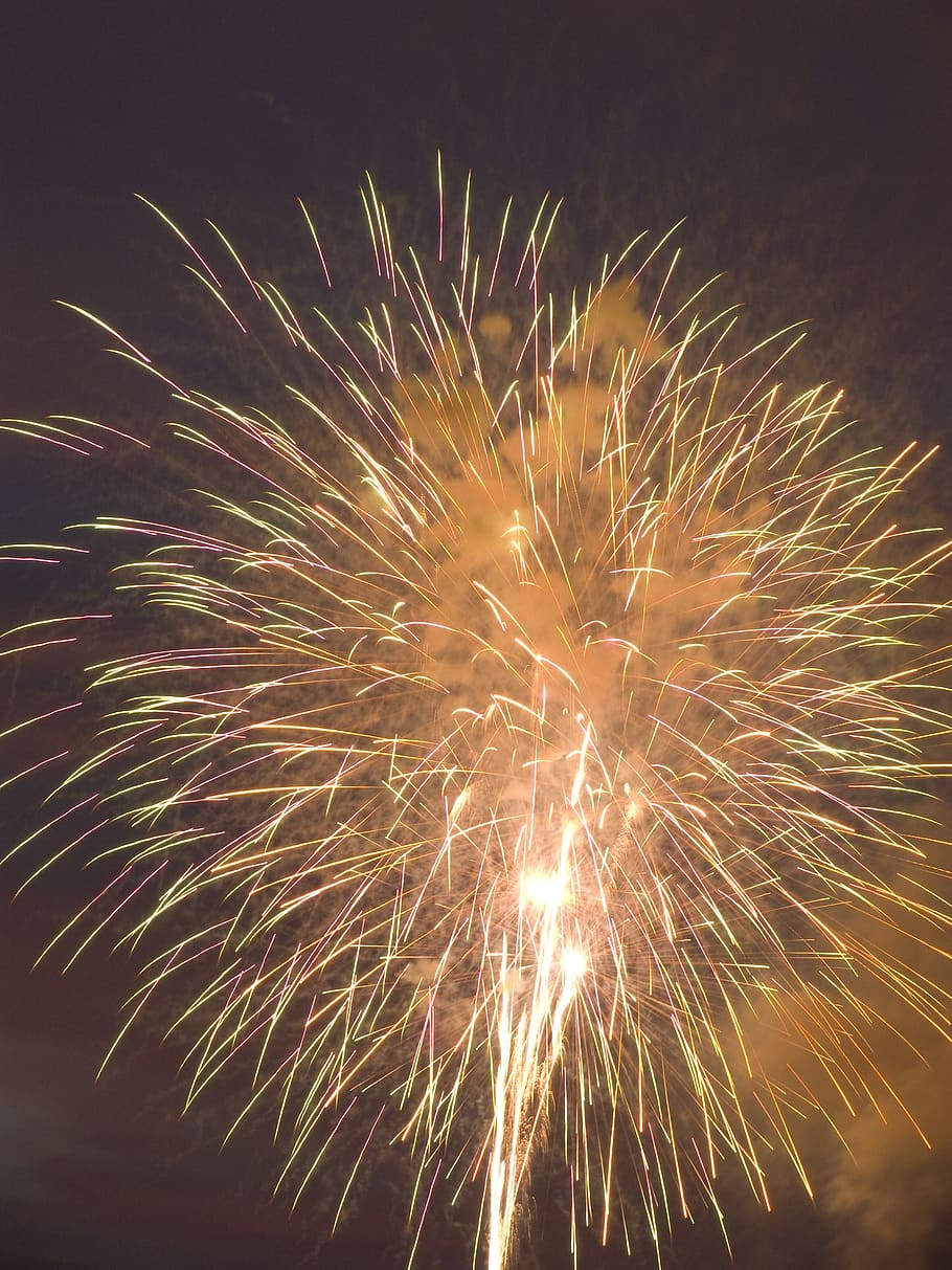 pyrotechnics, night, bright, event, firework, celebration, illuminated HD wallpaper