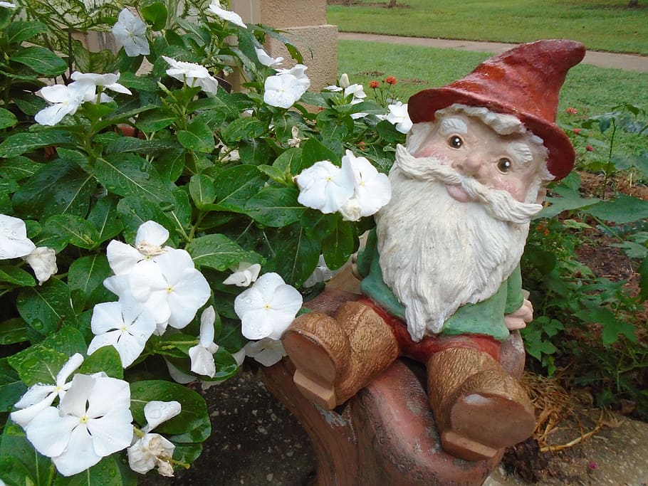 Gnome, Flowers, Garden, Plant, Nature, outdoor, ceramic, decoration, HD wallpaper