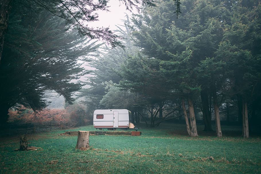 photo of white travel trailer near green leafed trees with fog, white RV trailer between green leafed trees during daytime HD wallpaper