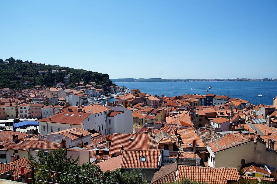 the city of piran, the roofs of the houses, sea, panorama, coastal city, HD wallpaper
