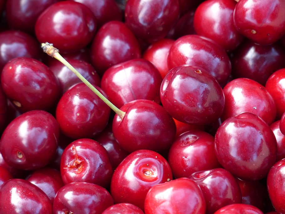 Sweet Cherry, Cherry, Red, Red, Fruit, healthy, leaves, branch HD wallpaper