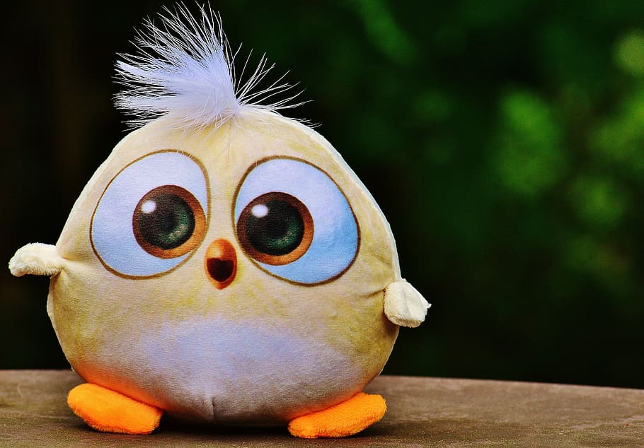 Online crop | HD wallpaper: bird, birdie, plush, stuffed animal, toys