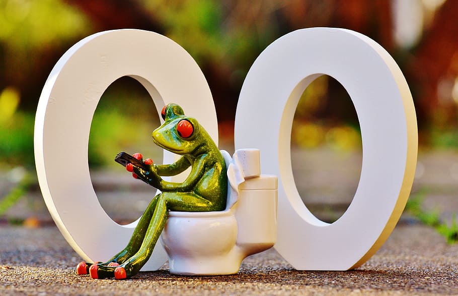 white and green frog ceramic figurine, wc, 00, toilet, funny, HD wallpaper