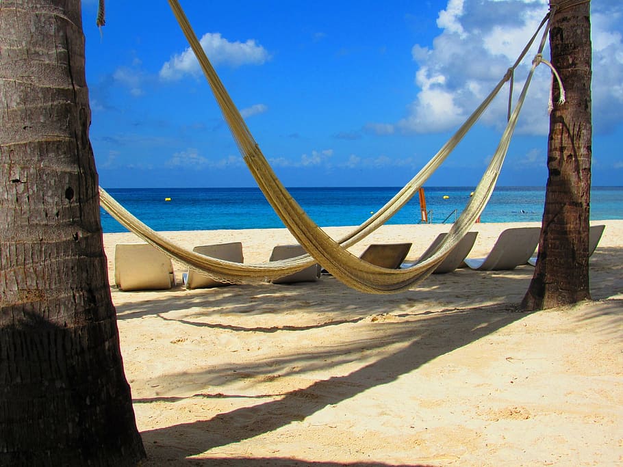 tropics, hammocks, beach, ocean, seaside, relax, tranquil, palm trees HD wallpaper