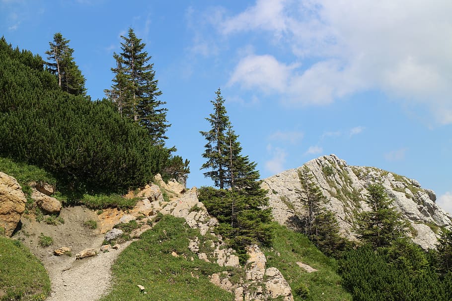 clouded sky, rock, clouds, landscape, mood, mountain, plant HD wallpaper