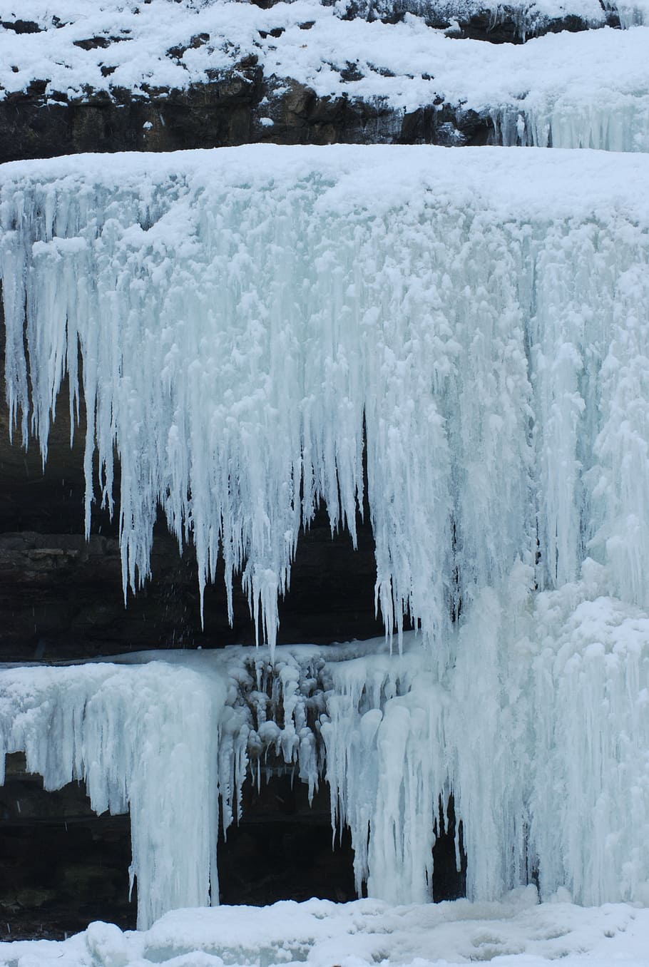 frozen, ice, cold, winter, snow, white, frost, weather, park HD wallpaper