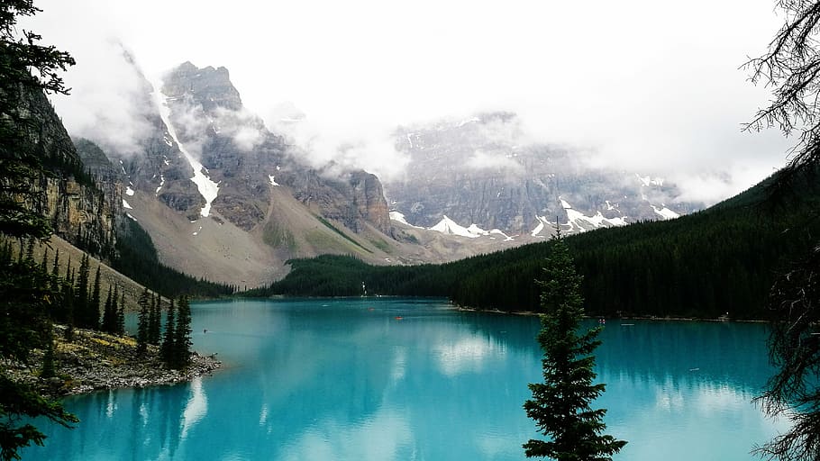 photo of body of water between trees and mountain, calm body of water between mountain HD wallpaper