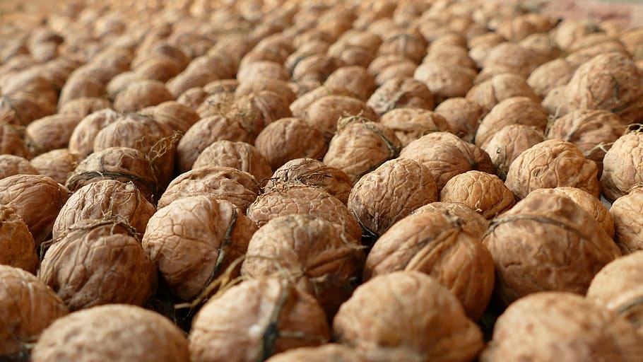 Nuts, Walnuts, Food, Eat, healthy, brown, fruit bowl, nutrition HD wallpaper