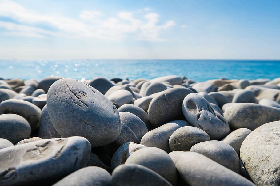 selective focus photography of gray polished stone, rocks, beach HD wallpaper