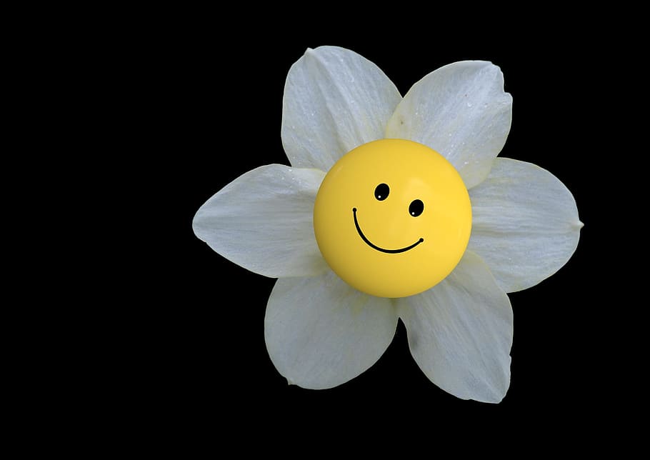 Happy Faces posted by Sarah Mercado aesthetic flowers with smiley faces HD  phone wallpaper  Pxfuel