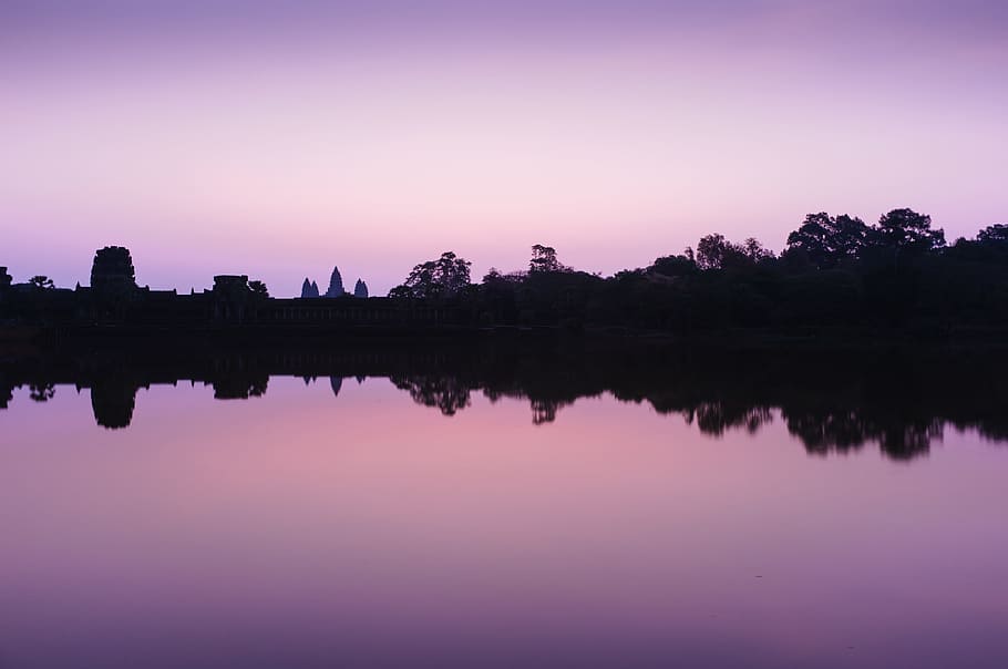 trees reflecting in body of water, silhouette photo of trees reflecting on still body of water HD wallpaper