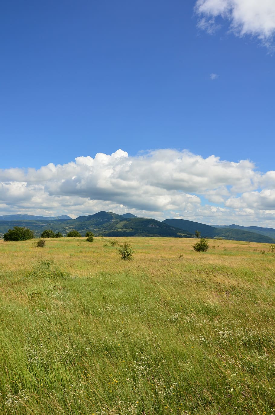landscape, grass, sky, nature, summer, field, cloud, outdoor HD wallpaper