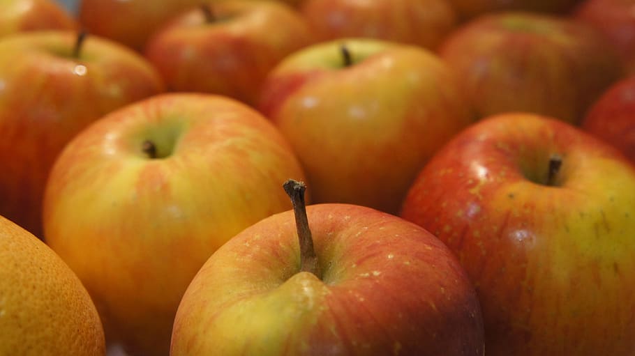 apel apple, fruit, fresh, vitamins, market, food, food and drink HD wallpaper