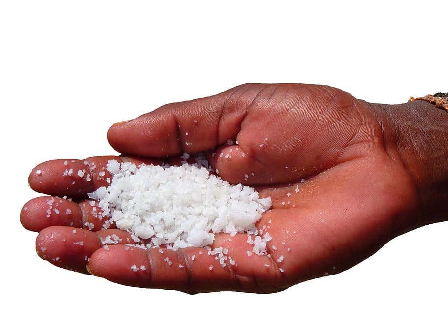 hand, isolated, white, background, salt, holding, palm, palm of hand HD wallpaper
