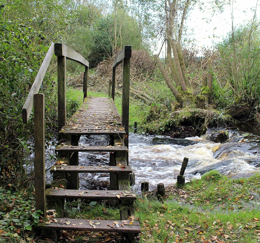 transition, web, bridge, boardwalk, wooden bridge, waters, bach HD wallpaper