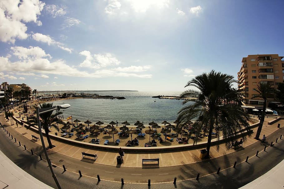 mallorca, beach, sun, idyll, palms, water, sky, architecture HD wallpaper