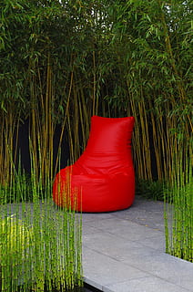 red bean bag, mindset, faq, green, chair, trees, willow, reeds HD wallpaper