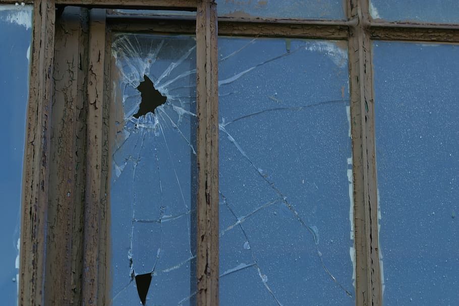 broken, window, shot, building, weathered, old, bird, blue HD wallpaper