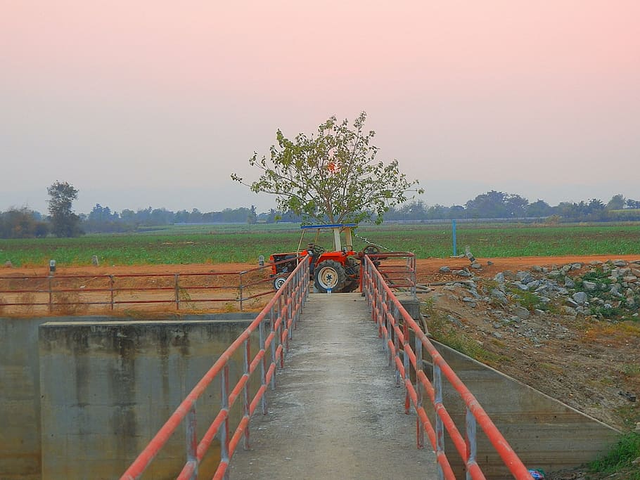 tractor, bridge, thailand, sunset, transport, agriculture, rice paddy HD wallpaper