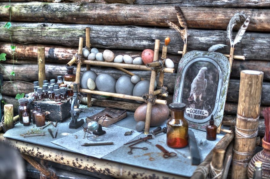 painting of antique decor collection, Bird, Feather, Eggs, Quack HD wallpaper
