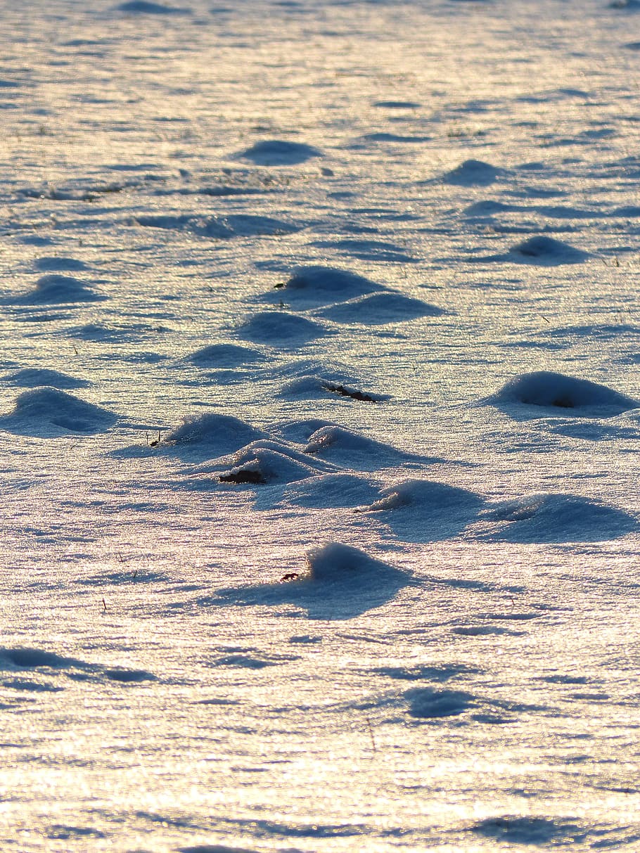Wintry, Winter, Frozen, Molehill, Snow, snowy, cold, icy, shimmer HD wallpaper