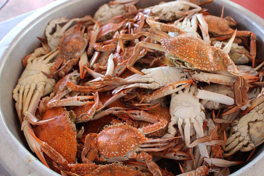 cooked crab meal