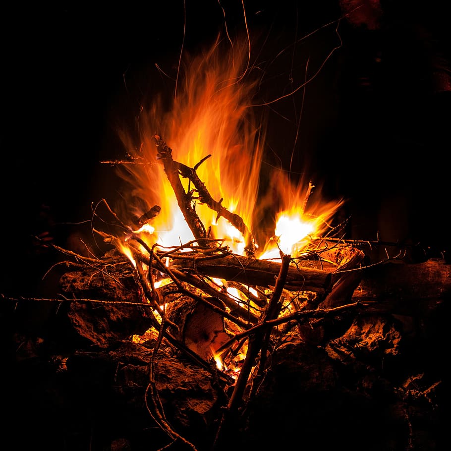 bonfire lighted at night time, flame, inflammable, burn, wood, HD wallpaper