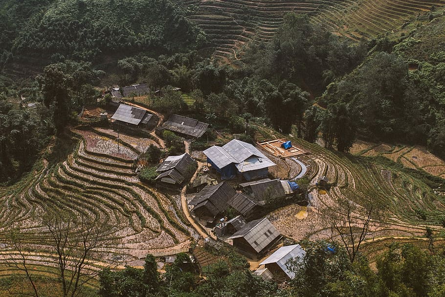 aerial view photo of house surrounded by green trees, aerial photo of a rice terraces HD wallpaper