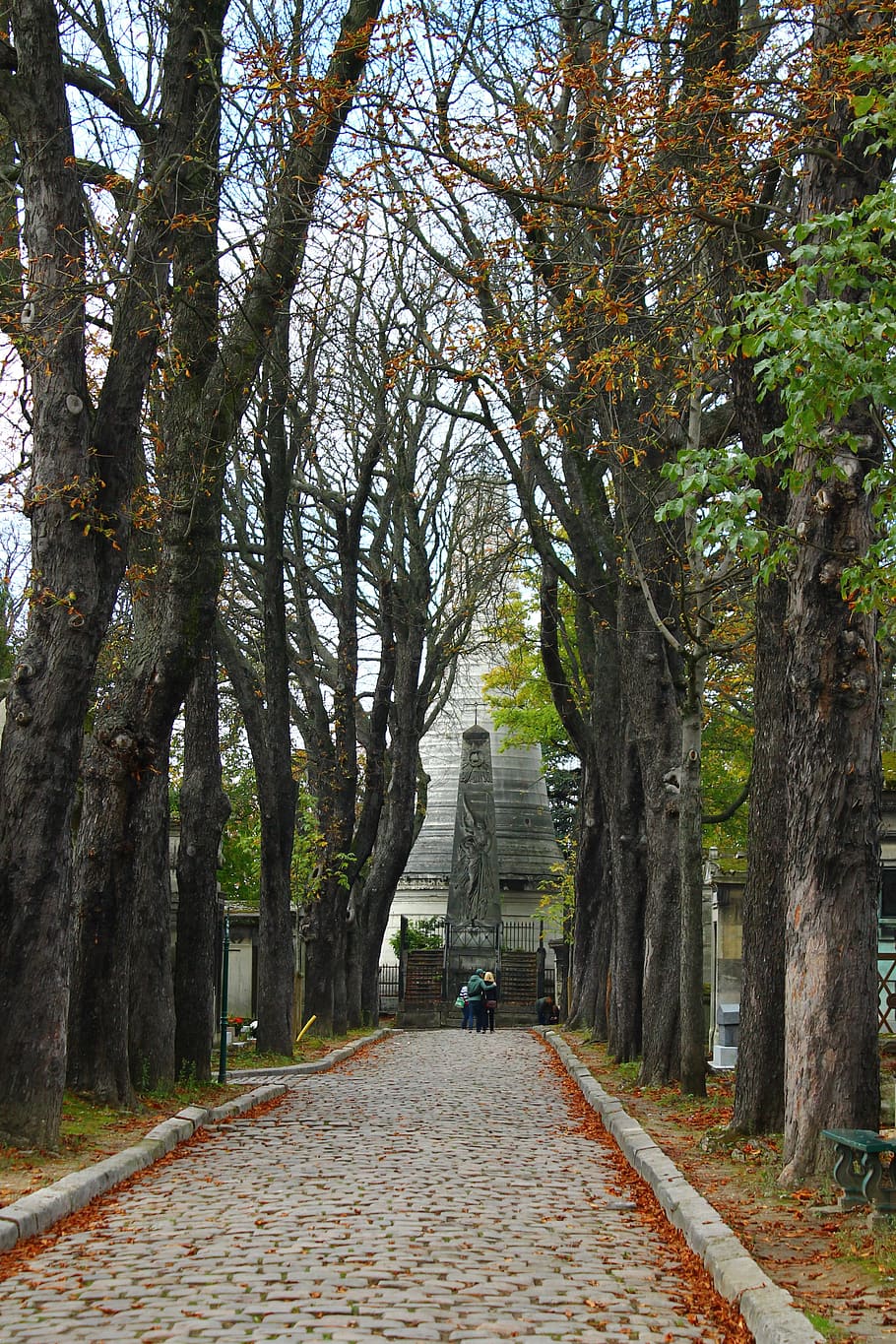 Paris, Cemetery, Trees, outdoors, autumn, no people, travel destinations HD wallpaper