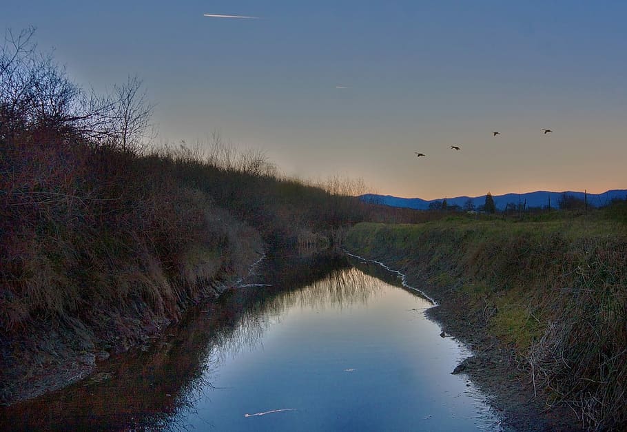 Canal, Reflection, Blue Sky, Water, scenic, landscape, birds HD wallpaper