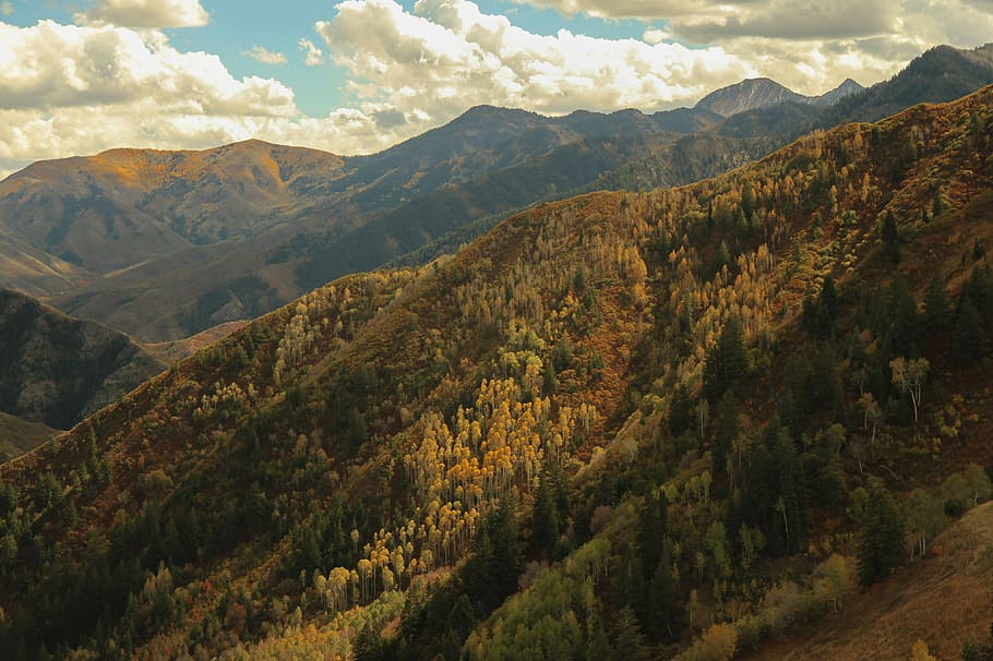 landscape photography of brown mountains under cumulus clouds, brown trees HD wallpaper