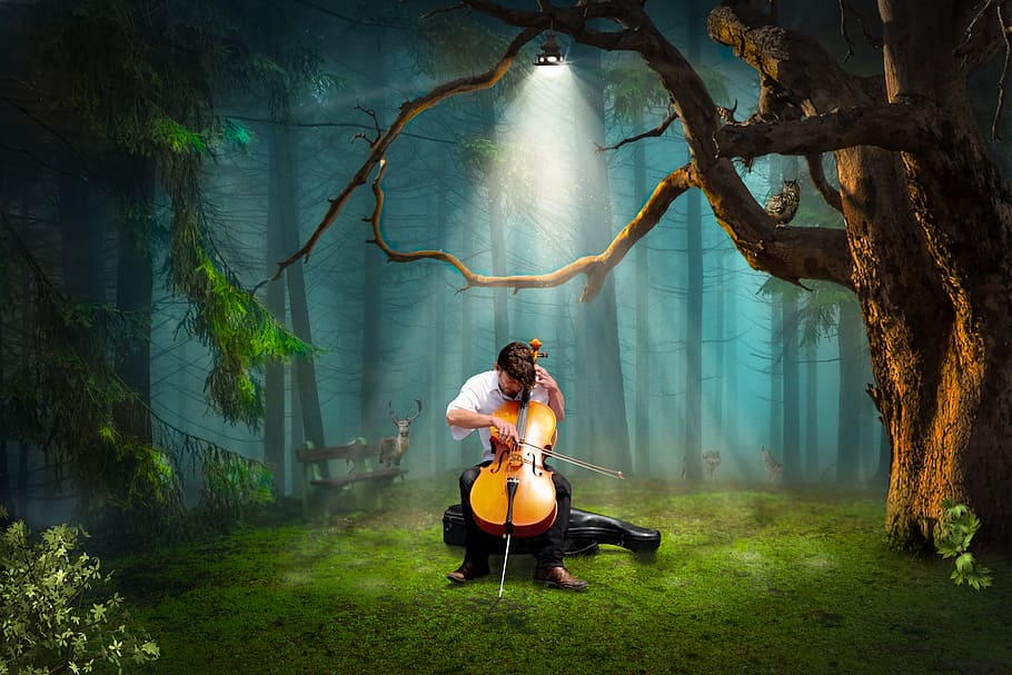 man playing viola in forest, light, cello, music, one person HD wallpaper