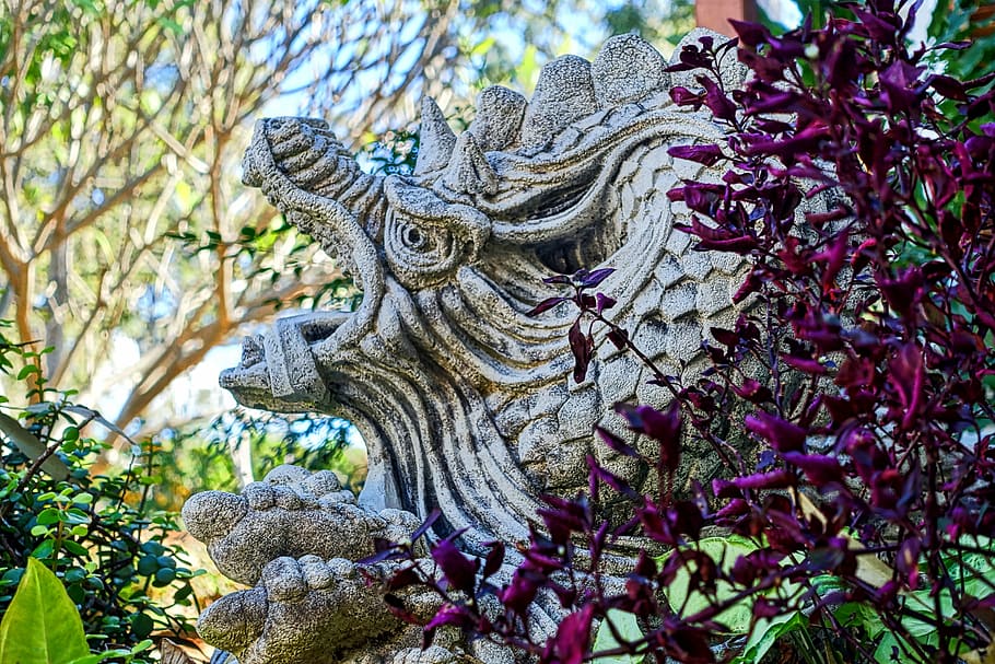 Statue, Dragon, Garden, Garden, Culture, sculpture, chinese, HD wallpaper