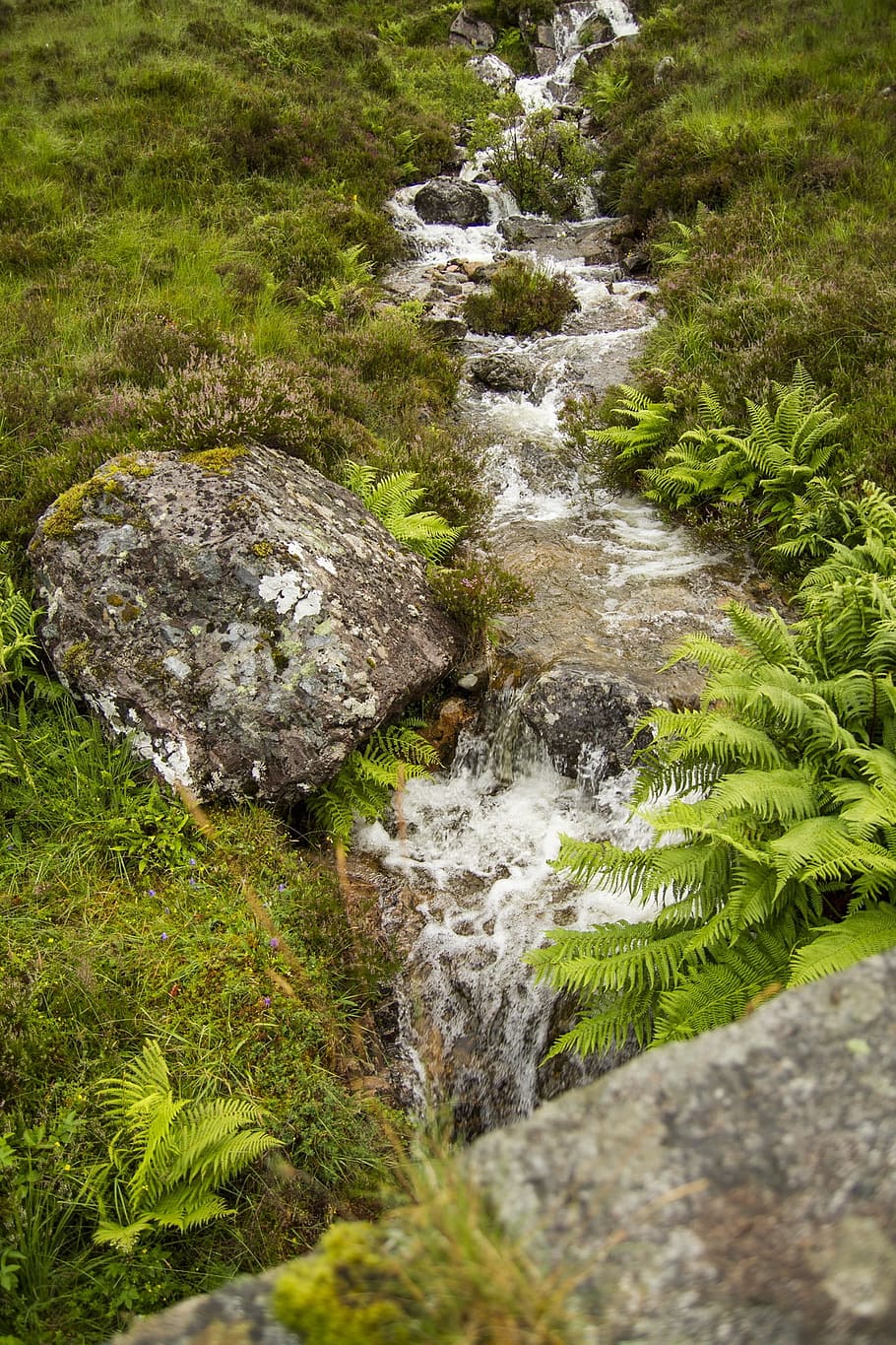 Brooke, Water, Stream, Nature, Natural, green, environment HD wallpaper