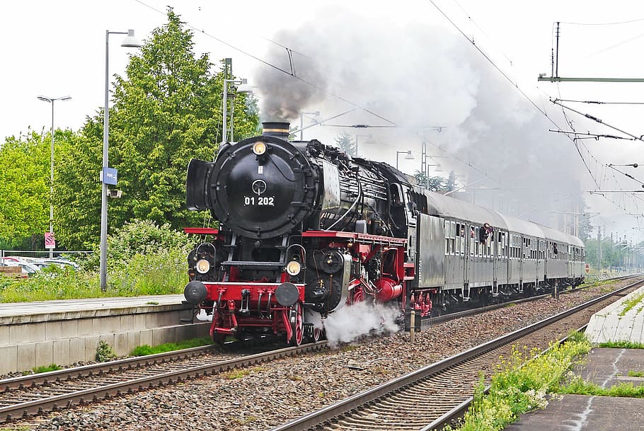 traveling black and red train near tree, steam locomotive, express train