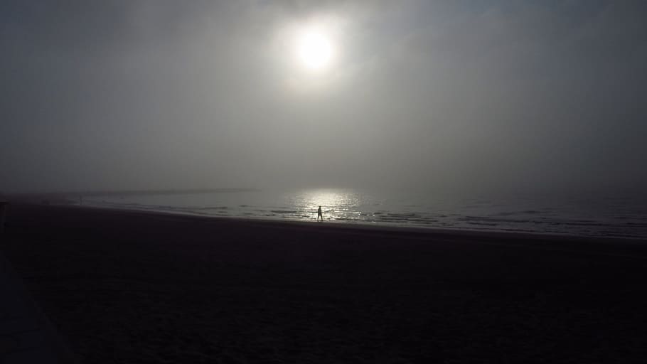 Fog, Beach, Mood, Walkers, Alone, Lonely, grey, gloomy, sea HD wallpaper