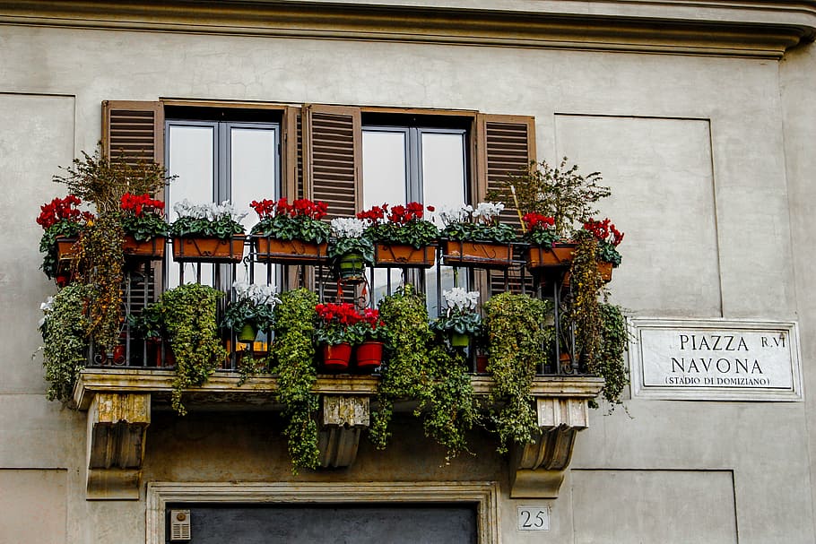 variety of flowers on balcony, flowerpot, italy, piazza navona, HD wallpaper