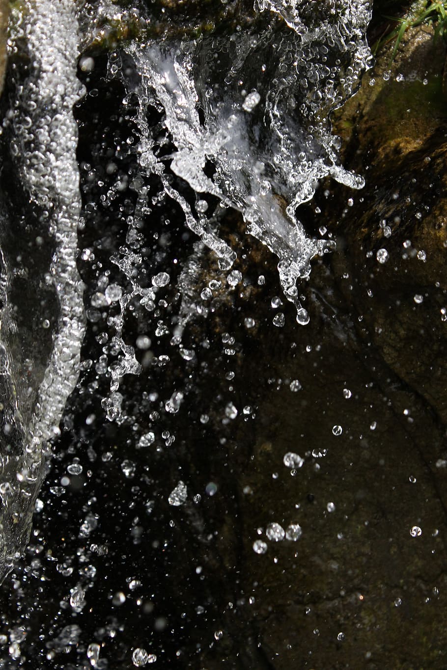water, splash, drop, bubble, water drop, wet, rain, fresh, nature HD wallpaper