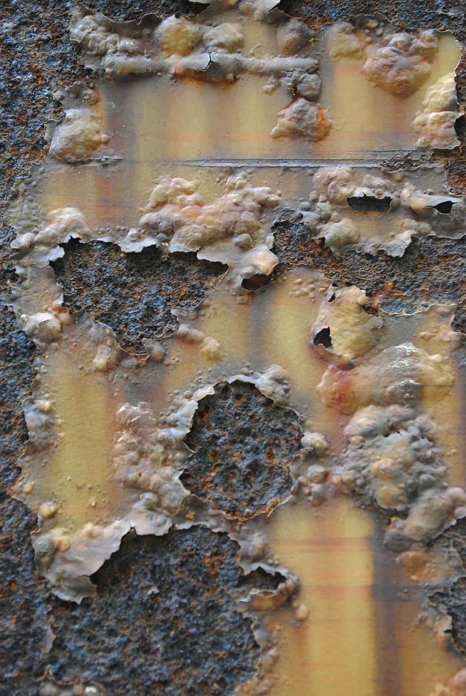 texture, rust, brown, orange, peeling paint, large group of animals HD wallpaper