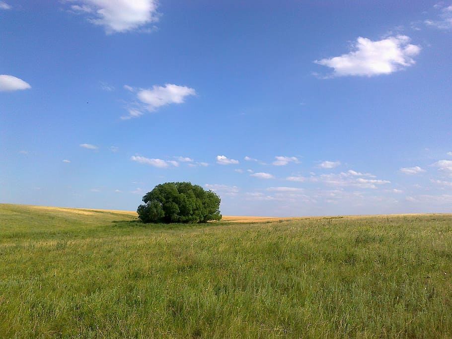 sky, nature, clouds, field, plant, environment, land, landscape HD wallpaper