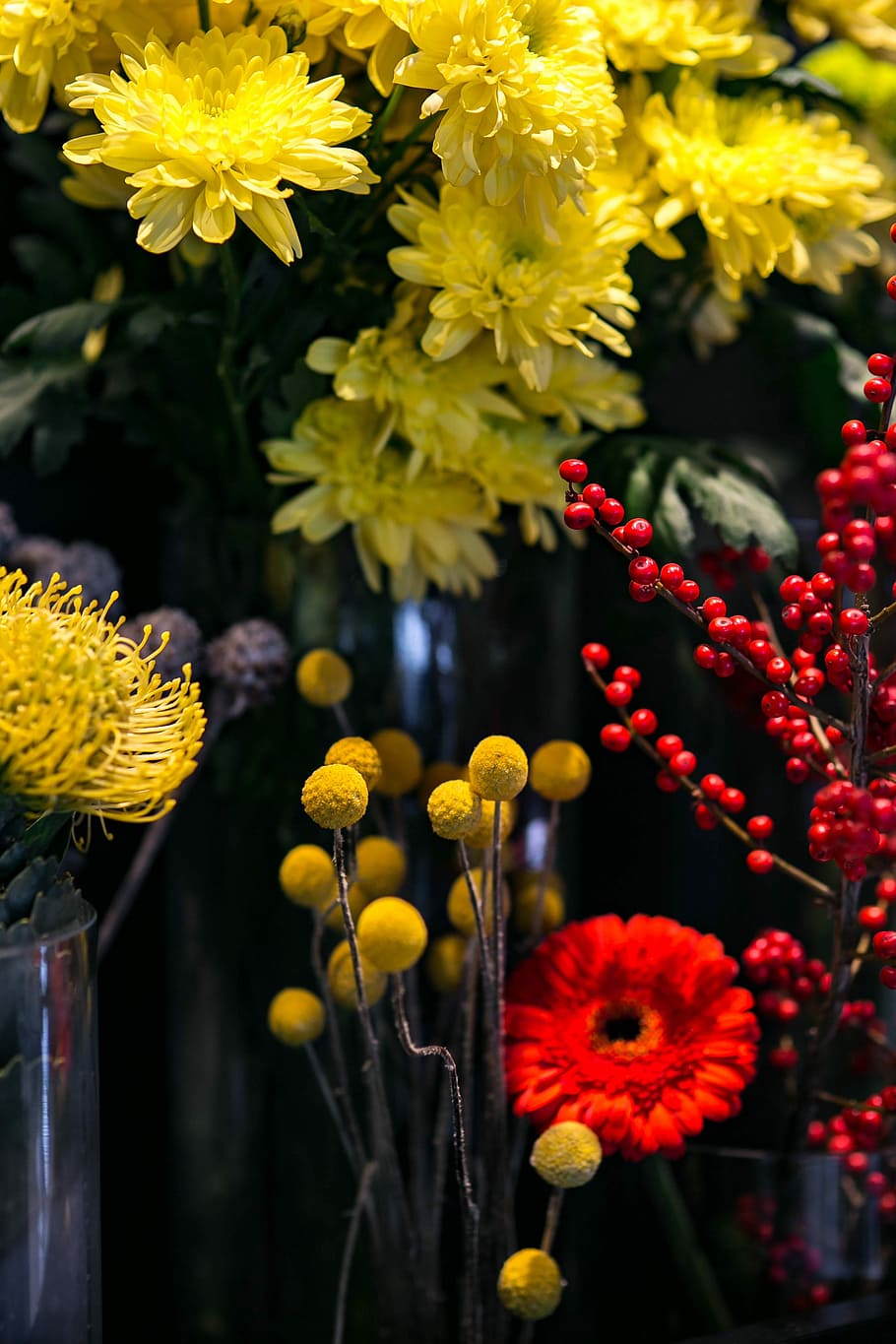 Red rowan with a colourful arrangement of flowers, flora, yellow HD wallpaper
