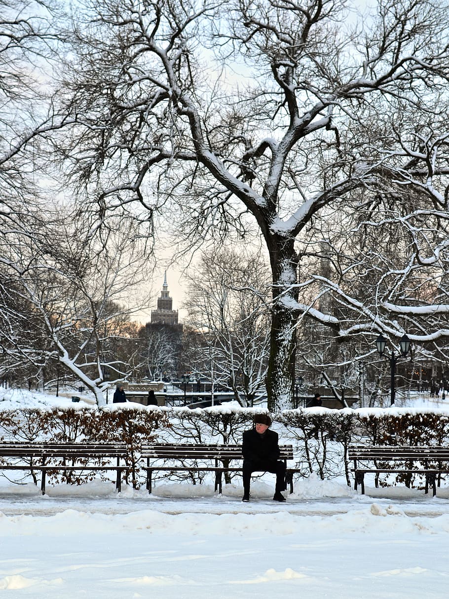 Зима в парке. Холодный парк. Серый холодный парк. Фото парка со снегом.