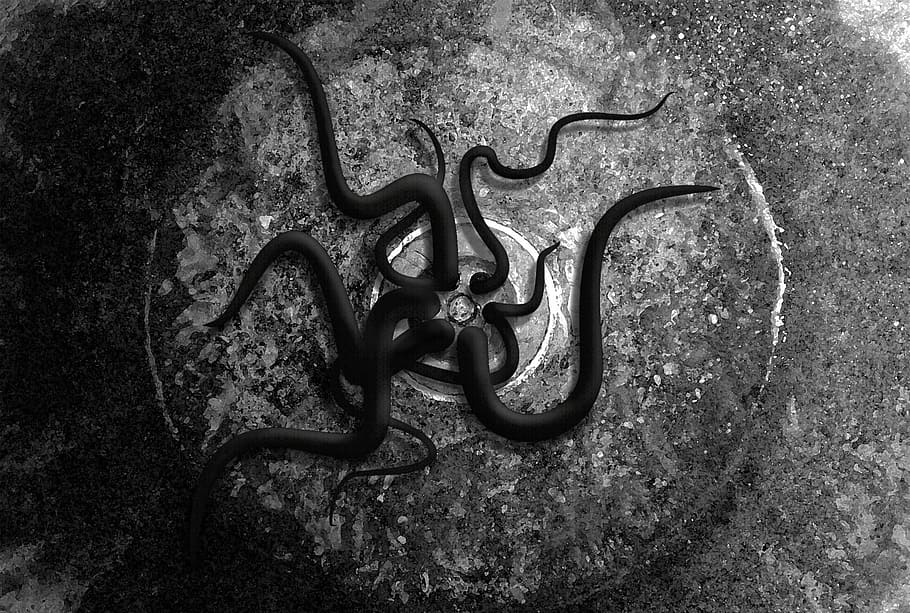 grayscale photography of worms on round drainage, dark, monster, HD wallpaper