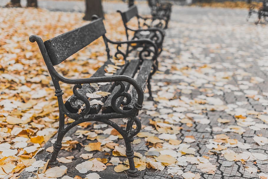 park, plaza, bench, leaf, fall, metal, focus on foreground HD wallpaper