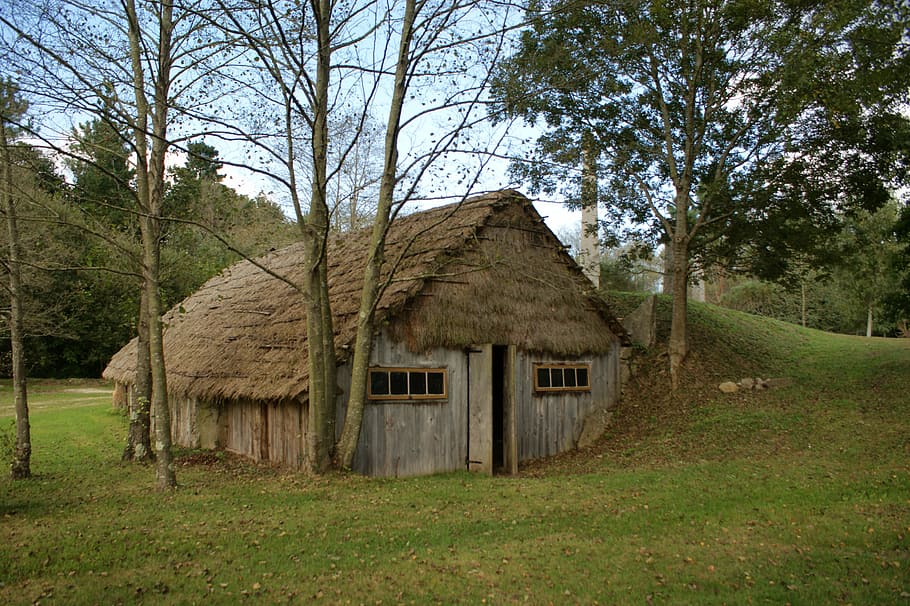 house, haystack, wood, tree, plant, architecture, built structure HD wallpaper