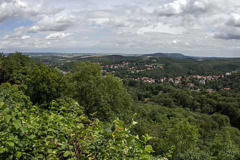 thuringia germany, landscape, thuringian forest, plant, tree HD wallpaper