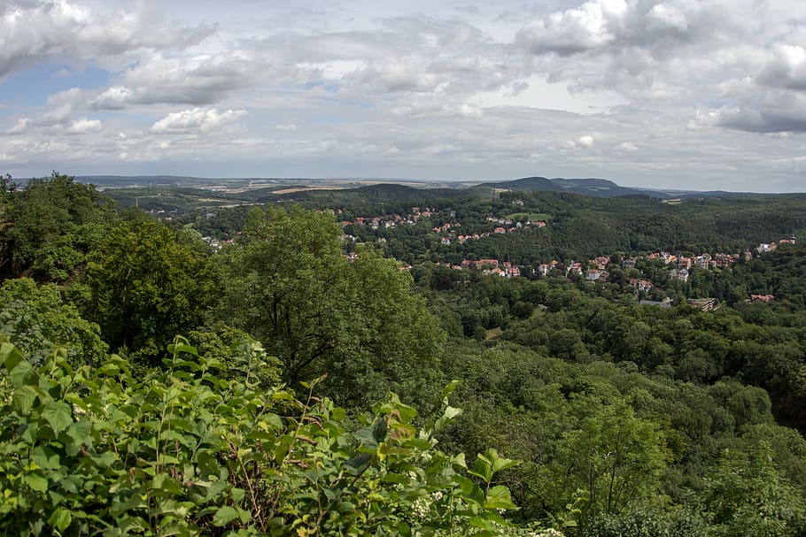 thuringia germany, landscape, thuringian forest, plant, tree HD wallpaper
