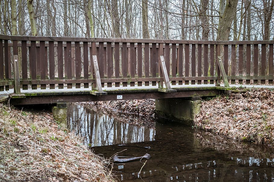bridge, bach, railing, river, trees, forest, mirroring, waters HD wallpaper